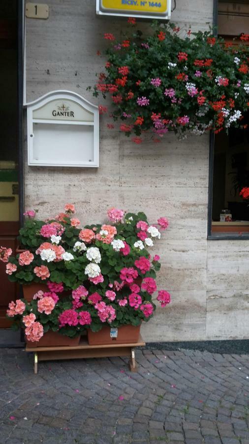 Albergo Ristorante Centro Vico Canavese Exterior foto